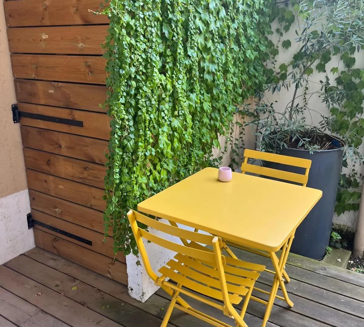 Appartement Cosy Avec Jardin Quartier Calme 툴루즈 프랑스